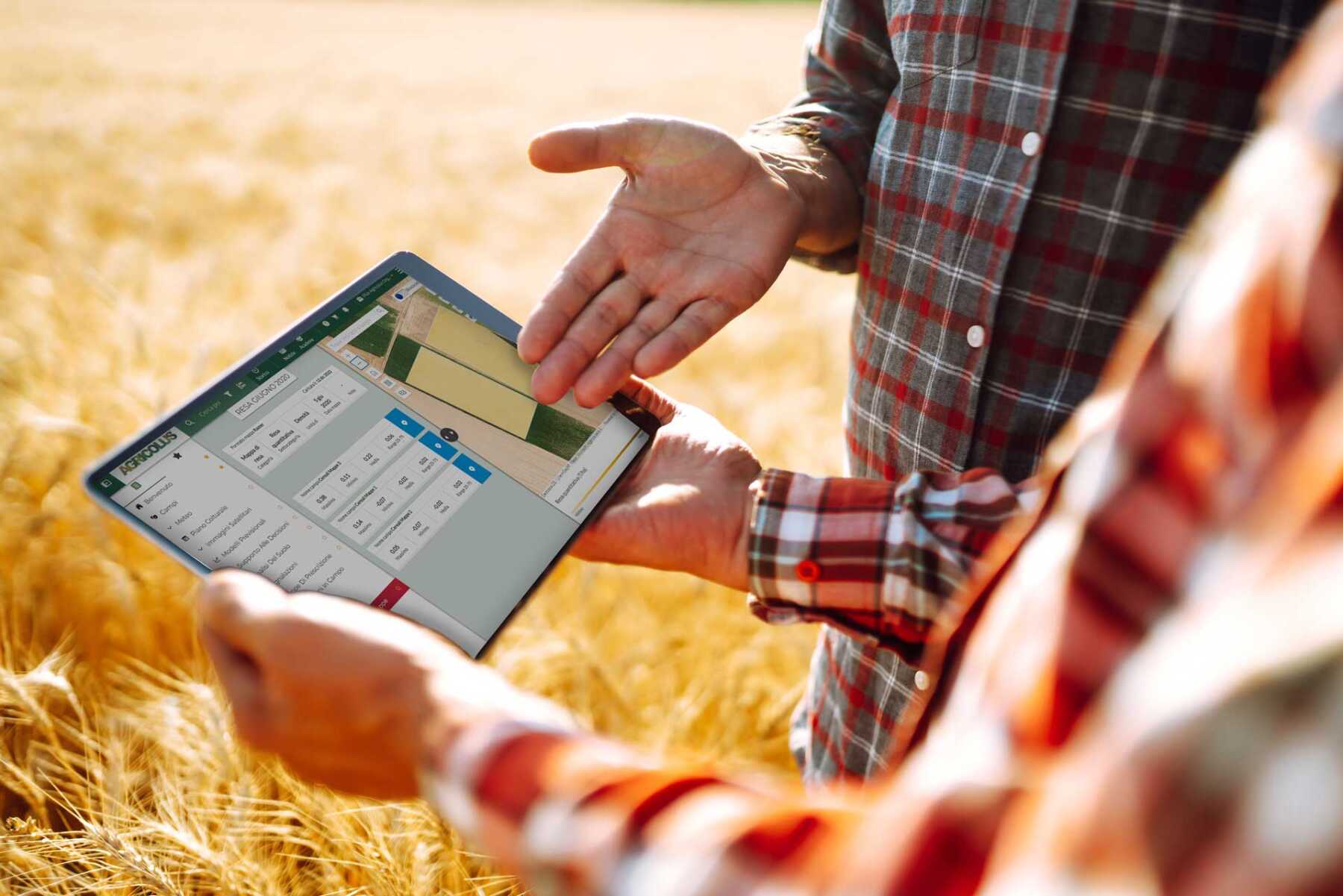 due tecnici in campo che consultano su un tablet le mappe caricate nella piattaforma Agricolus