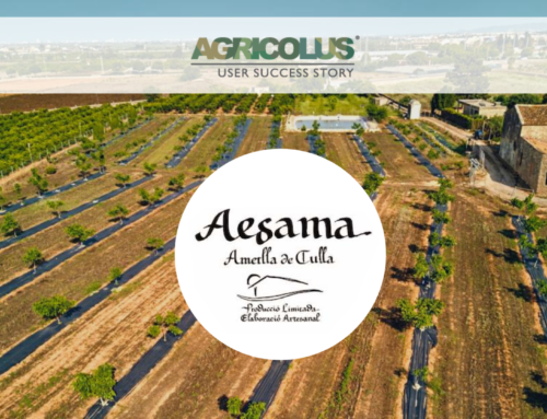 #Casos de éxito de Agricolus: AESAMA y la monitorización de frutos secos en Valencia