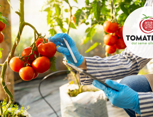 Agricolus per la filiera del pomodoro: le innovazioni chiave con il progetto Tomatrack