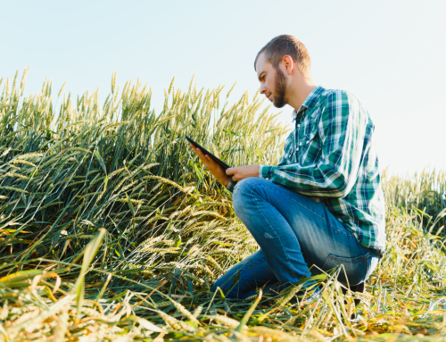 L’importanza della formazione nell’era dell’agricoltura digitale