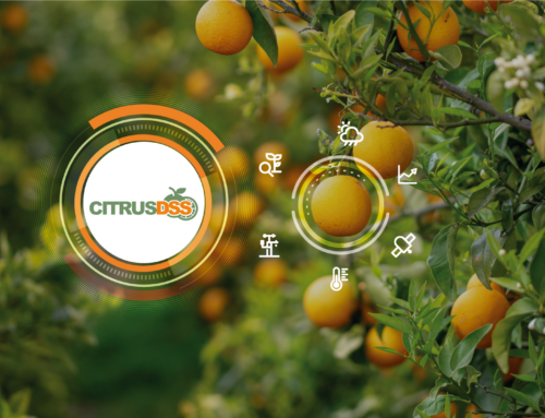 Innovative solutions for the agronomic management of citrus, CitrusDSS arrives
