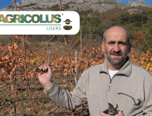 Agricolus users: Maurizio Gily e la consulenza innovativa in viticoltura