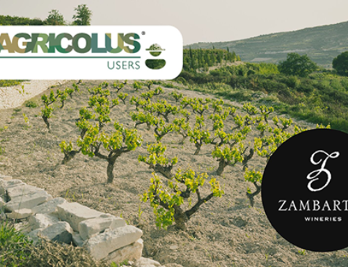 Agricolus users: Zambartas Wineries and the innovation in viticulture