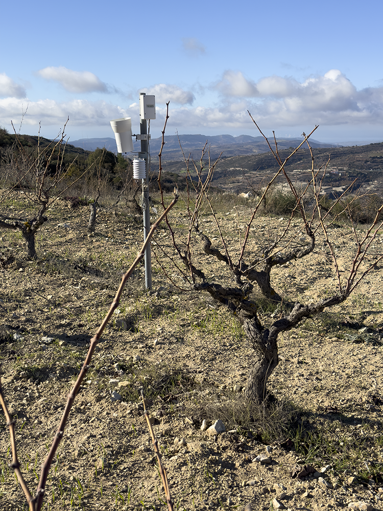 field weather station in the vineyards of Zambratas Wineries