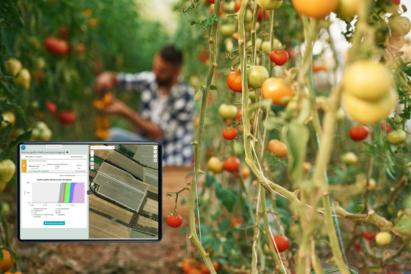 Tablet con schermata di Agricolus col modello di difesa per il pomodoro